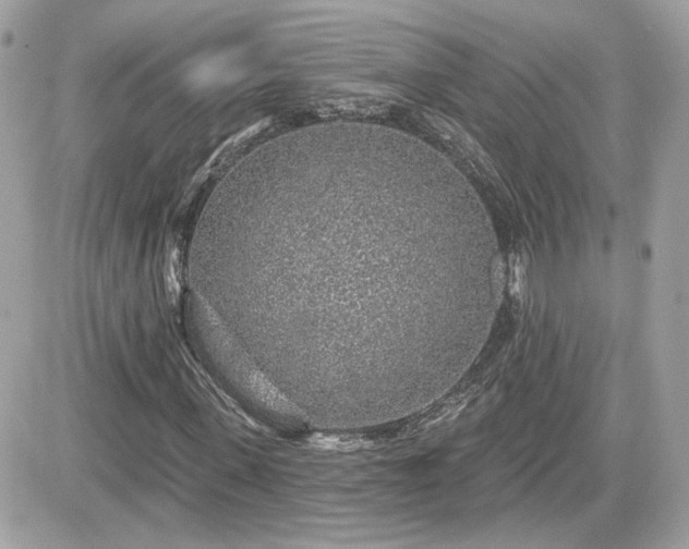 X0000081580915200701221024