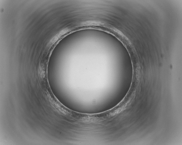 X0000081580929200701221024