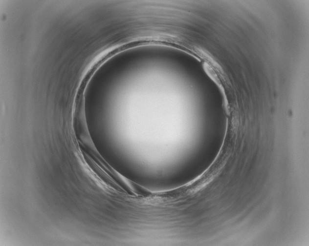 X0000081580940200701221024