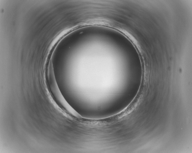 X0000081580949200701221024