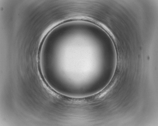 X0000081580951200701221025