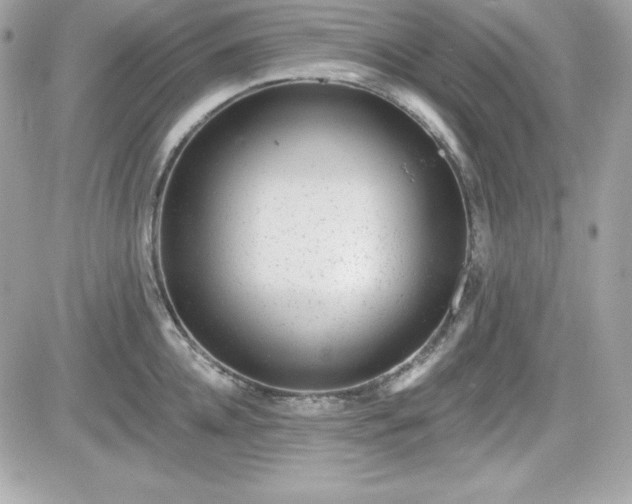 X0000081580952200701221025