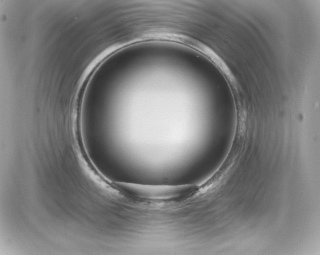 X0000081580955200701221025