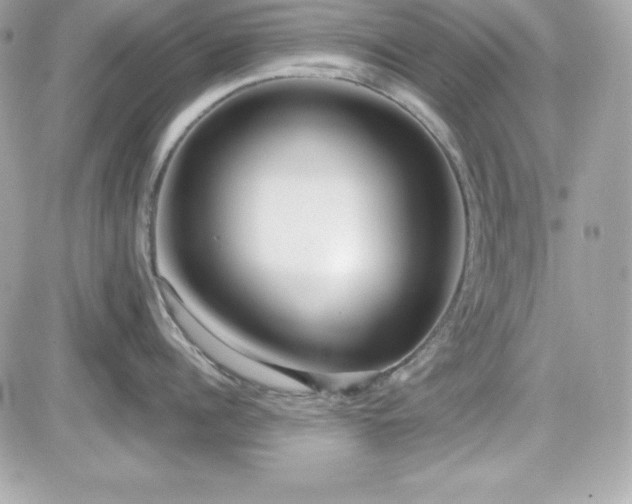 X0000081580960200701221025