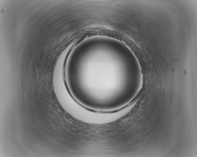 X0000081580965200701221024