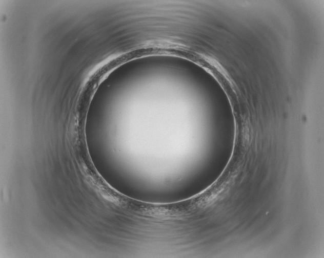 X0000081580971200701221024