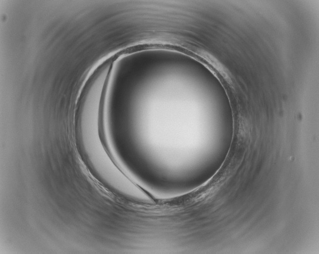 X0000081580980200701221024