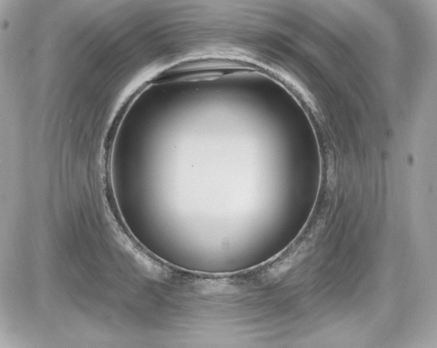 X0000081580990200701221023