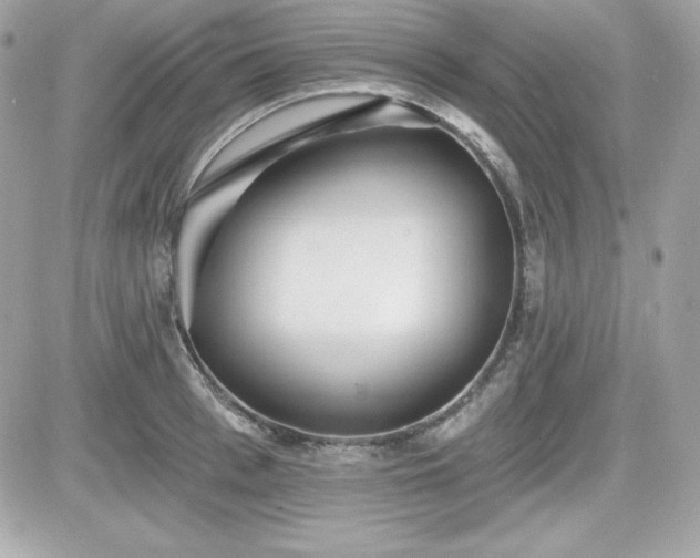 X0000081580993200701221023
