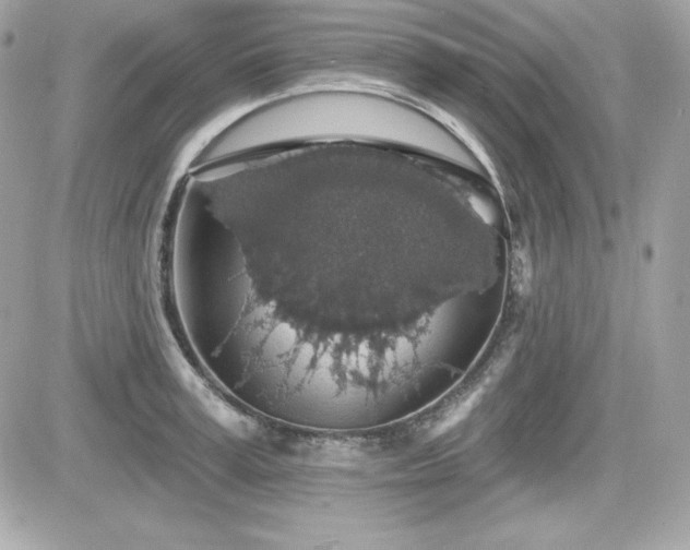 X0000081580995200701221023