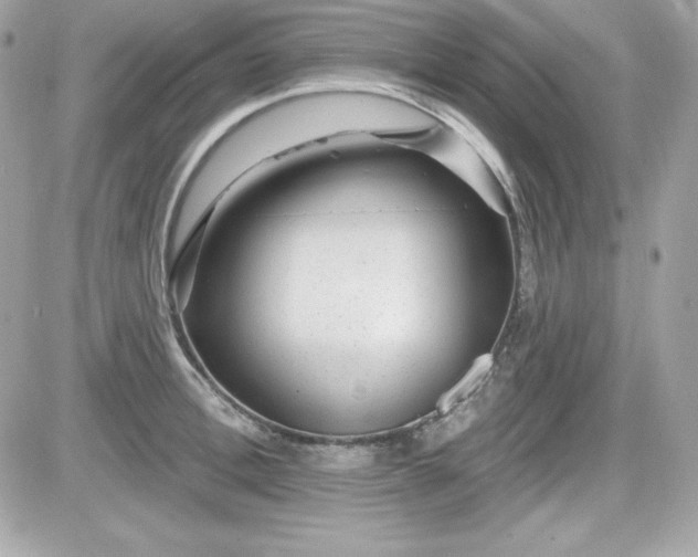 X0000081580996200701221023