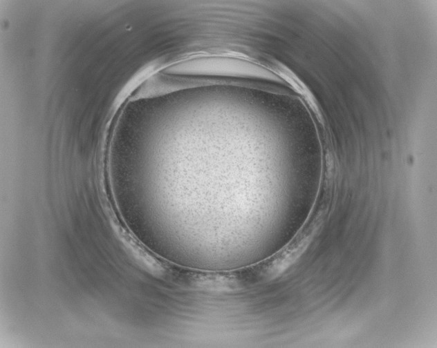 X0000081581002200701221023