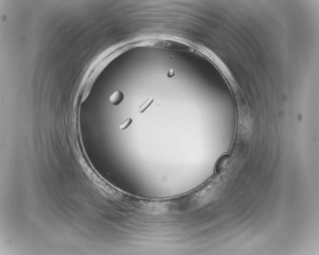 X0000081581004200701221023