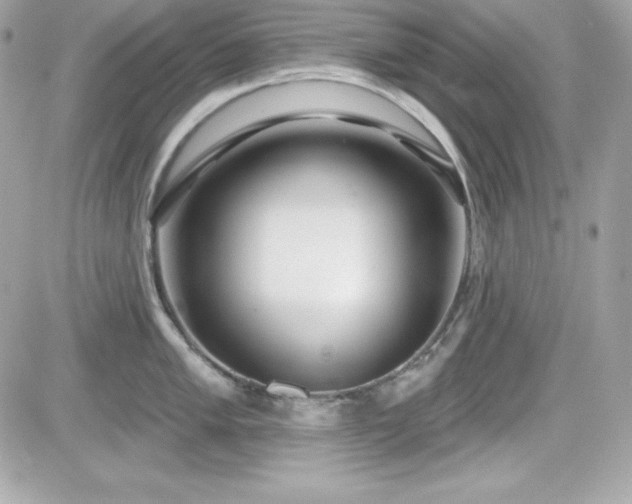 X0000081581005200701221023