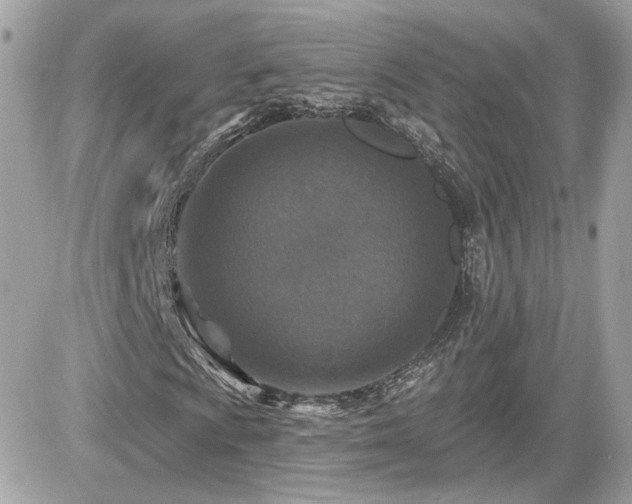 X0000081581009200701221022