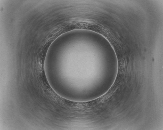 X0000081581013200701221022