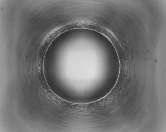 X0000081581016200701221022