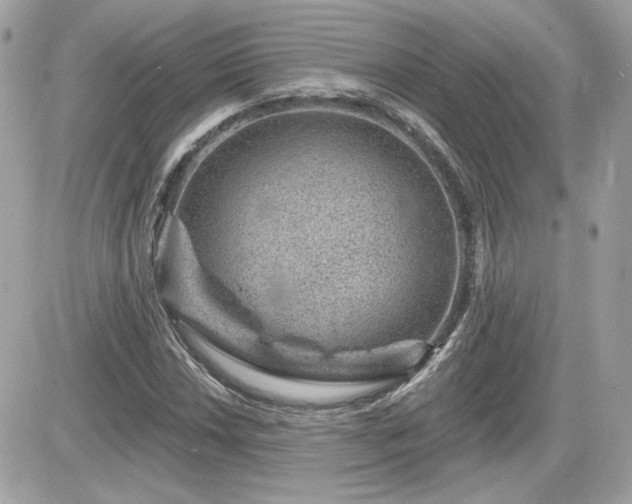 X0000081581018200701221022