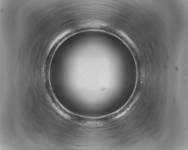 X0000081581026200701221023