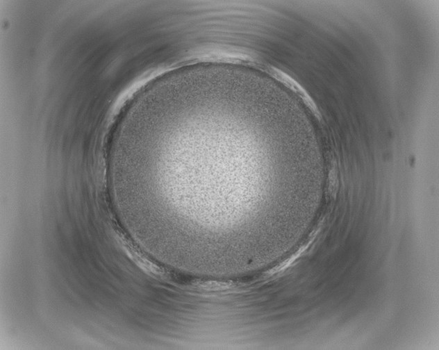 X0000081581027200701221023
