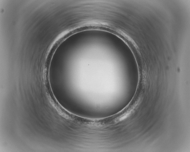 X0000081581029200701221023