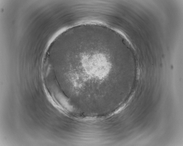 X0000081581038200701221023