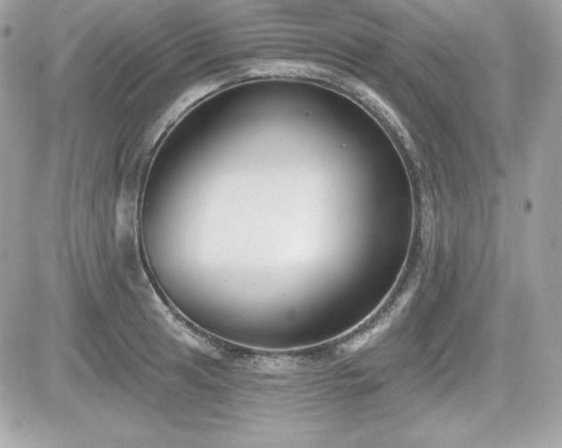X0000081581041200701221023