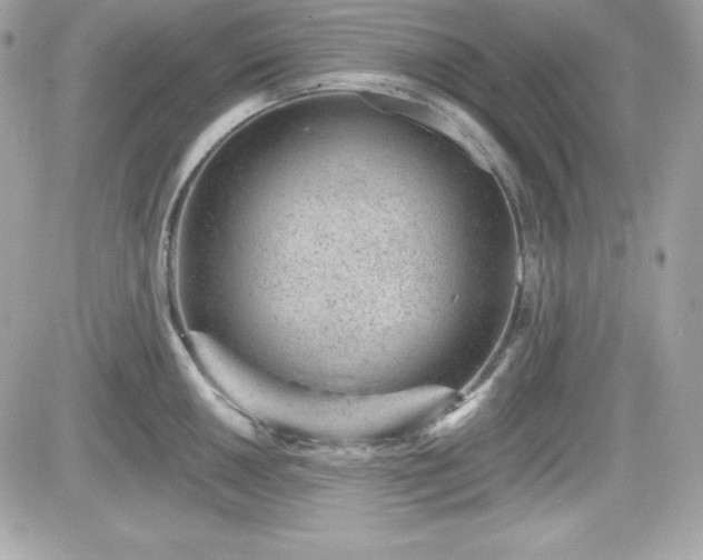 X0000081581050200701221023