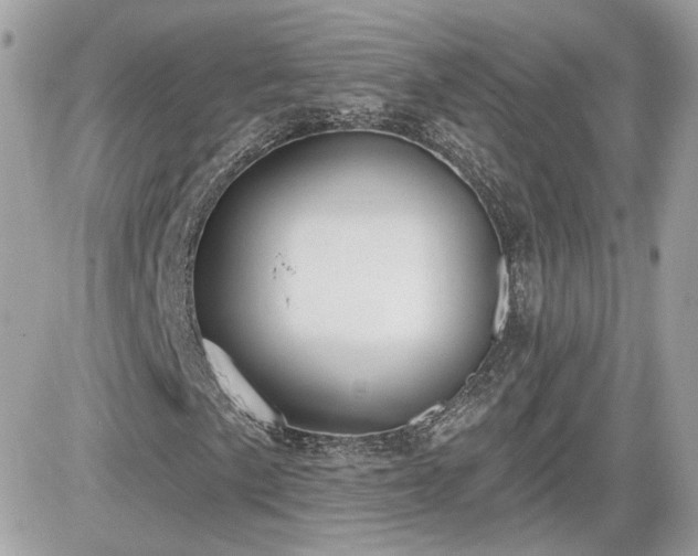 X0000081581057200701221022