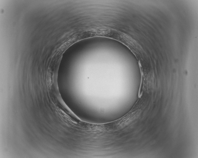 X0000081581058200701221022