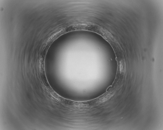 X0000081581059200701221022