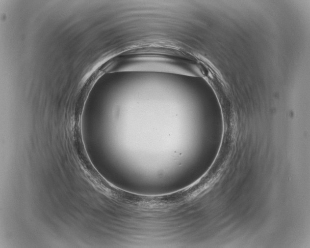 X0000081581065200701221022