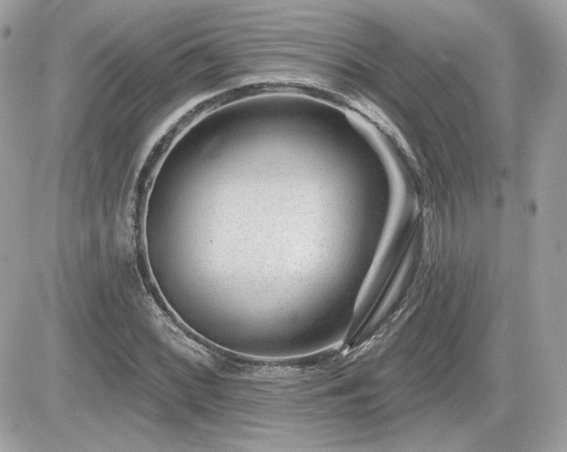 X0000081581068200701221022
