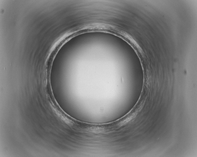 X0000081581075200701221022