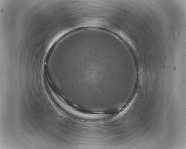 X0000081581077200701221022