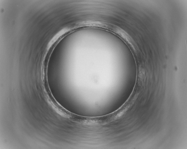 X0000081581082200701221022