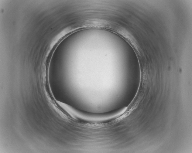 X0000081581083200701221022