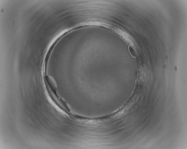 X0000081581084200701221022