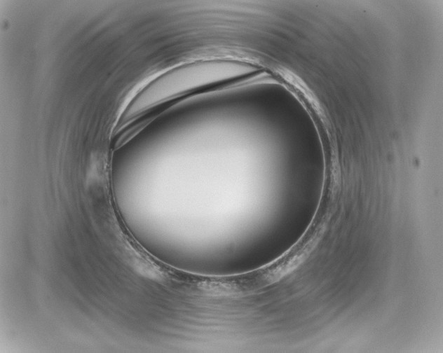 X0000081581089200701221022