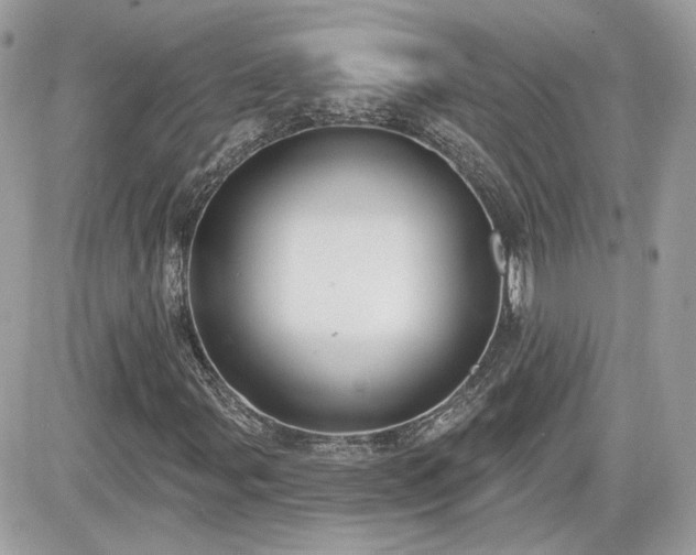 X0000081581107200701221021