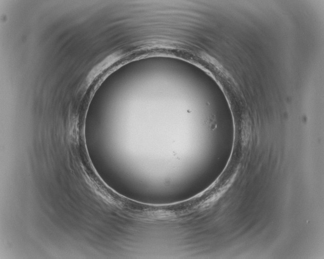 X0000081581113200701221021