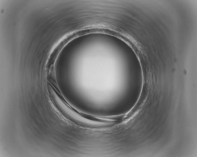 X0000081581118200701221021
