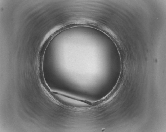 X0000081581122200701221021