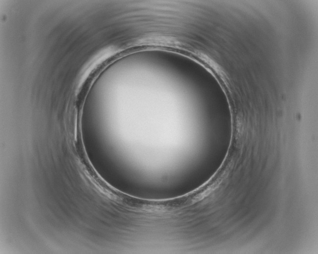X0000081581123200701221021