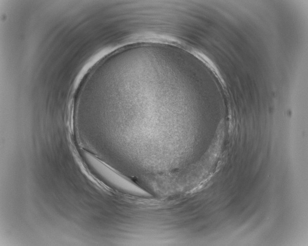 X0000081581128200701221021