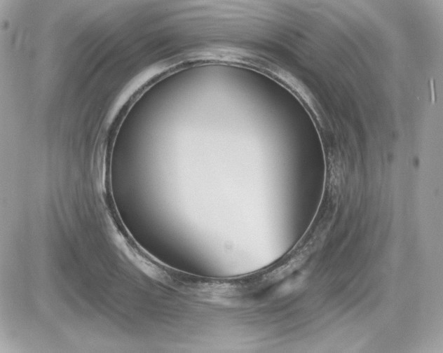 X0000081581131200701221021