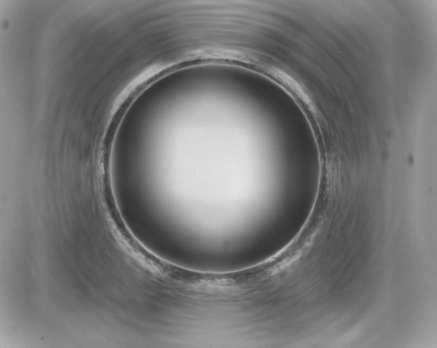 X0000081581133200701221021