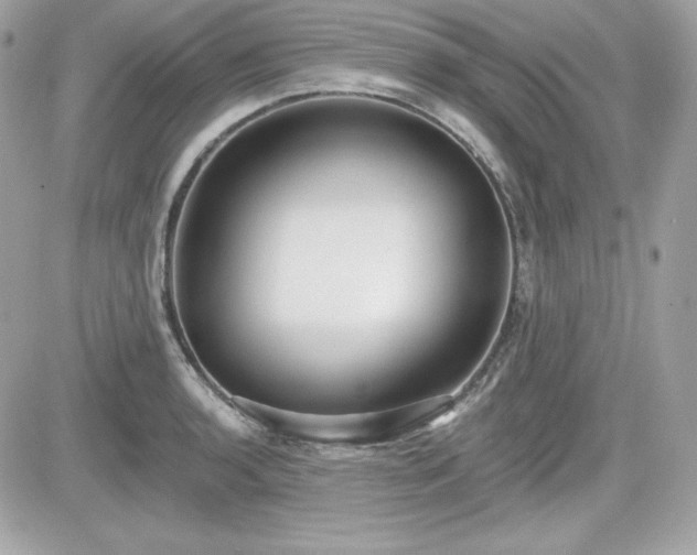 X0000081581136200701221021