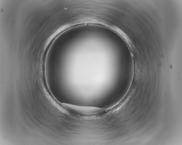 X0000081581142200701221021