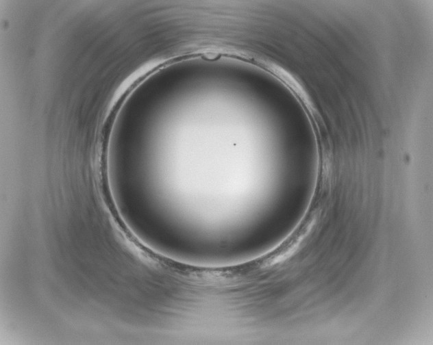 X0000081581149200701221022